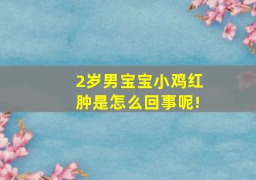 2岁男宝宝小鸡红肿是怎么回事呢!