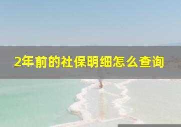 2年前的社保明细怎么查询