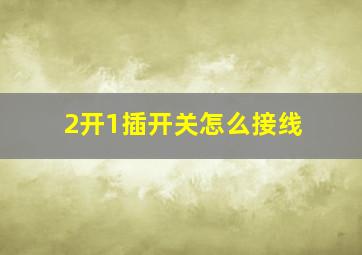 2开1插开关怎么接线