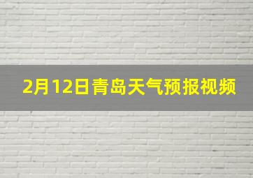 2月12日青岛天气预报视频