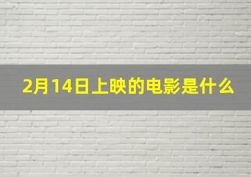 2月14日上映的电影是什么