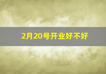 2月20号开业好不好