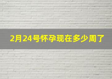 2月24号怀孕现在多少周了