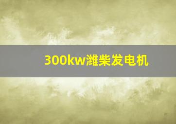 300kw潍柴发电机