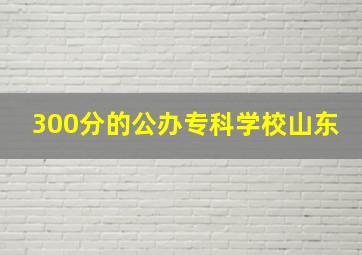 300分的公办专科学校山东