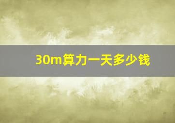 30m算力一天多少钱