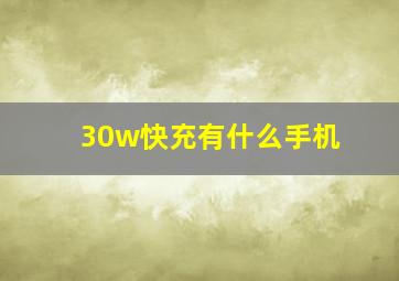 30w快充有什么手机