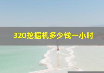 320挖掘机多少钱一小时