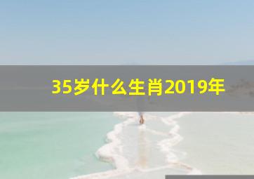 35岁什么生肖2019年