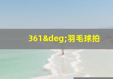 361°羽毛球拍