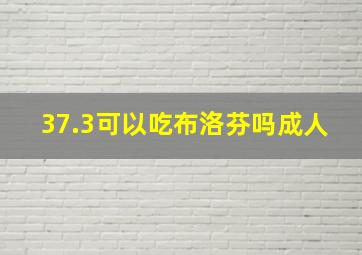 37.3可以吃布洛芬吗成人