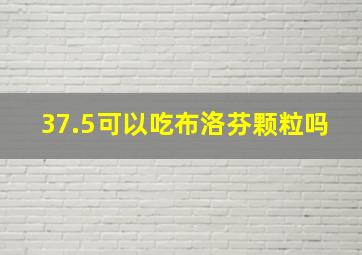 37.5可以吃布洛芬颗粒吗