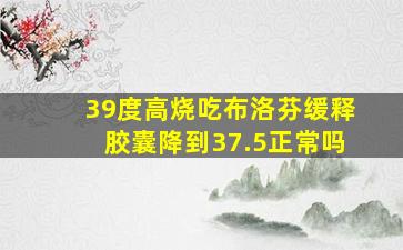 39度高烧吃布洛芬缓释胶囊降到37.5正常吗