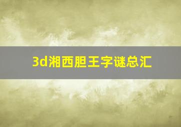 3d湘西胆王字谜总汇