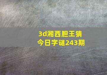 3d湘西胆王猜今日字谜243期