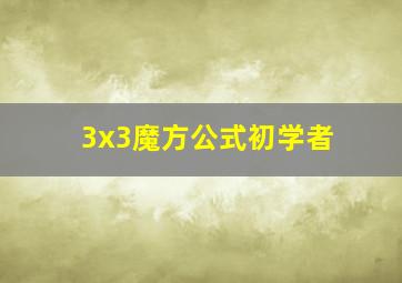 3x3魔方公式初学者