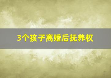 3个孩子离婚后抚养权