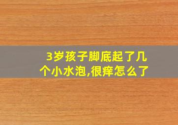 3岁孩子脚底起了几个小水泡,很痒怎么了