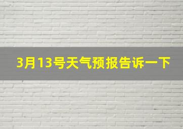 3月13号天气预报告诉一下