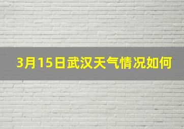 3月15日武汉天气情况如何