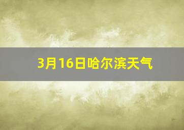 3月16日哈尔滨天气