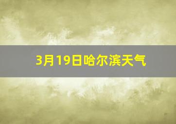 3月19日哈尔滨天气