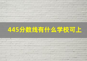 445分数线有什么学校可上