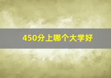 450分上哪个大学好