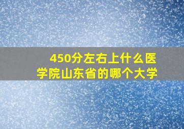 450分左右上什么医学院山东省的哪个大学