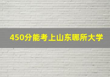 450分能考上山东哪所大学