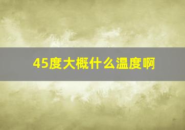 45度大概什么温度啊