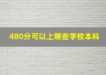 480分可以上哪些学校本科