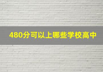 480分可以上哪些学校高中