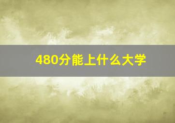 480分能上什么大学