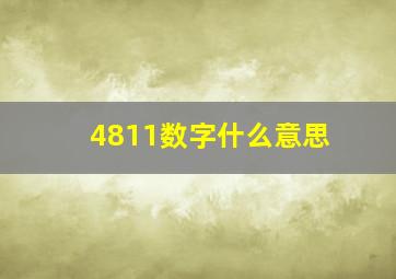 4811数字什么意思