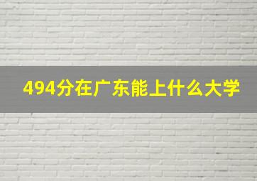 494分在广东能上什么大学