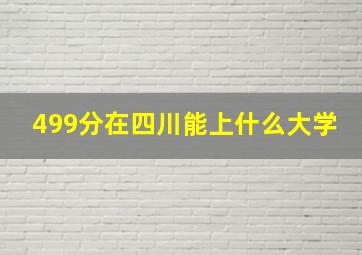 499分在四川能上什么大学