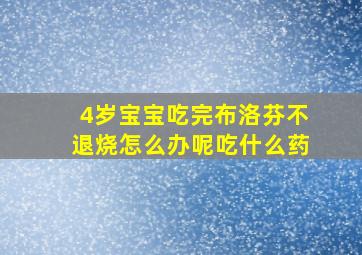 4岁宝宝吃完布洛芬不退烧怎么办呢吃什么药