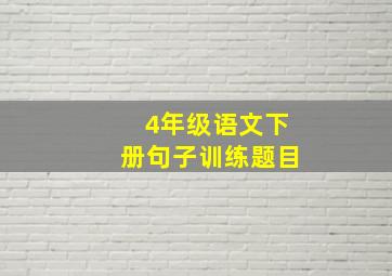 4年级语文下册句子训练题目