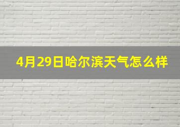 4月29日哈尔滨天气怎么样