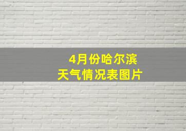 4月份哈尔滨天气情况表图片