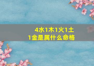 4水1木1火1土1金是属什么命格