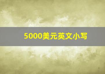 5000美元英文小写