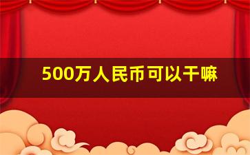 500万人民币可以干嘛