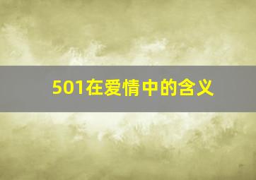 501在爱情中的含义