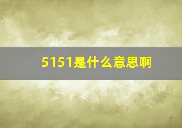 5151是什么意思啊