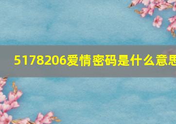 5178206爱情密码是什么意思