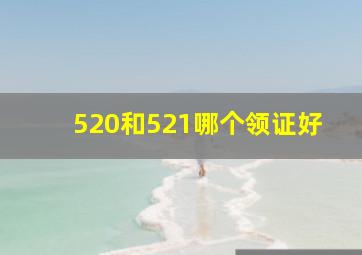 520和521哪个领证好