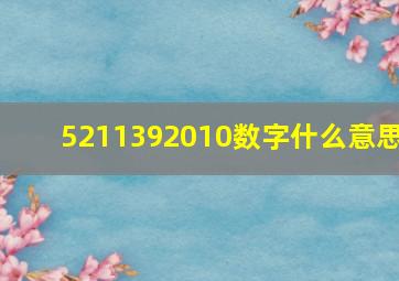 5211392010数字什么意思