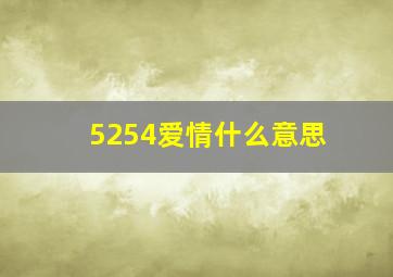 5254爱情什么意思